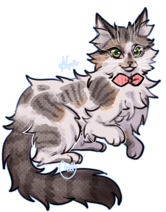 PET DETAILED PET DETAILED